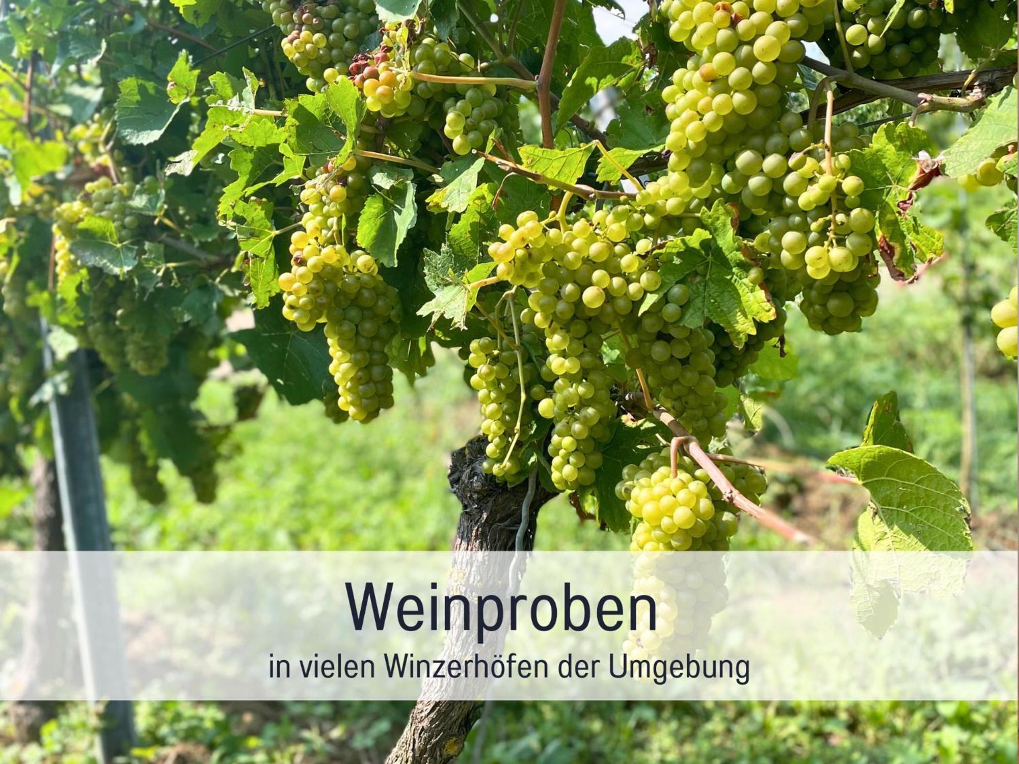 Ferienwohnungen Auszeit Langmatt Sulzburg Luaran gambar