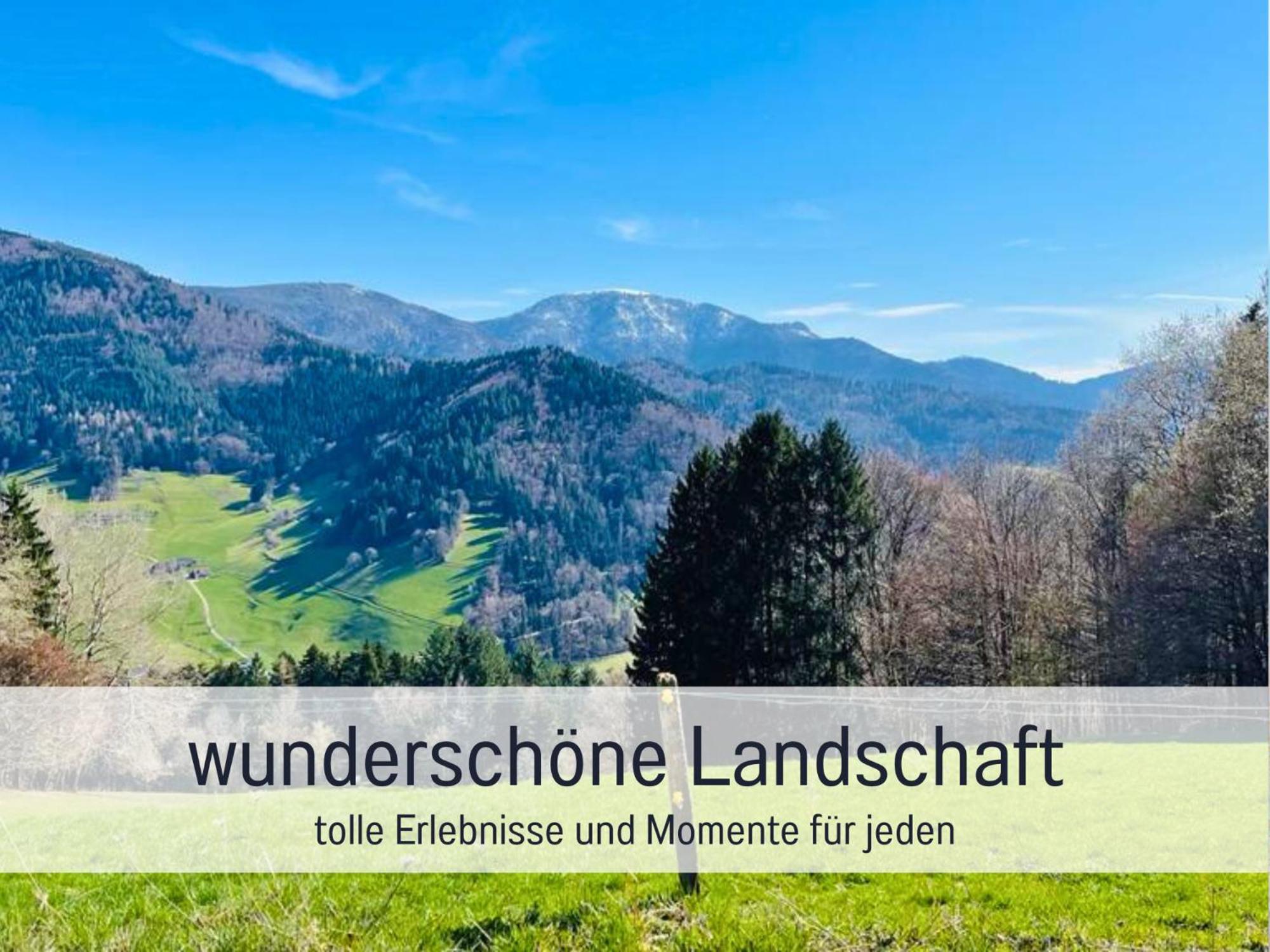 Ferienwohnungen Auszeit Langmatt Sulzburg Luaran gambar