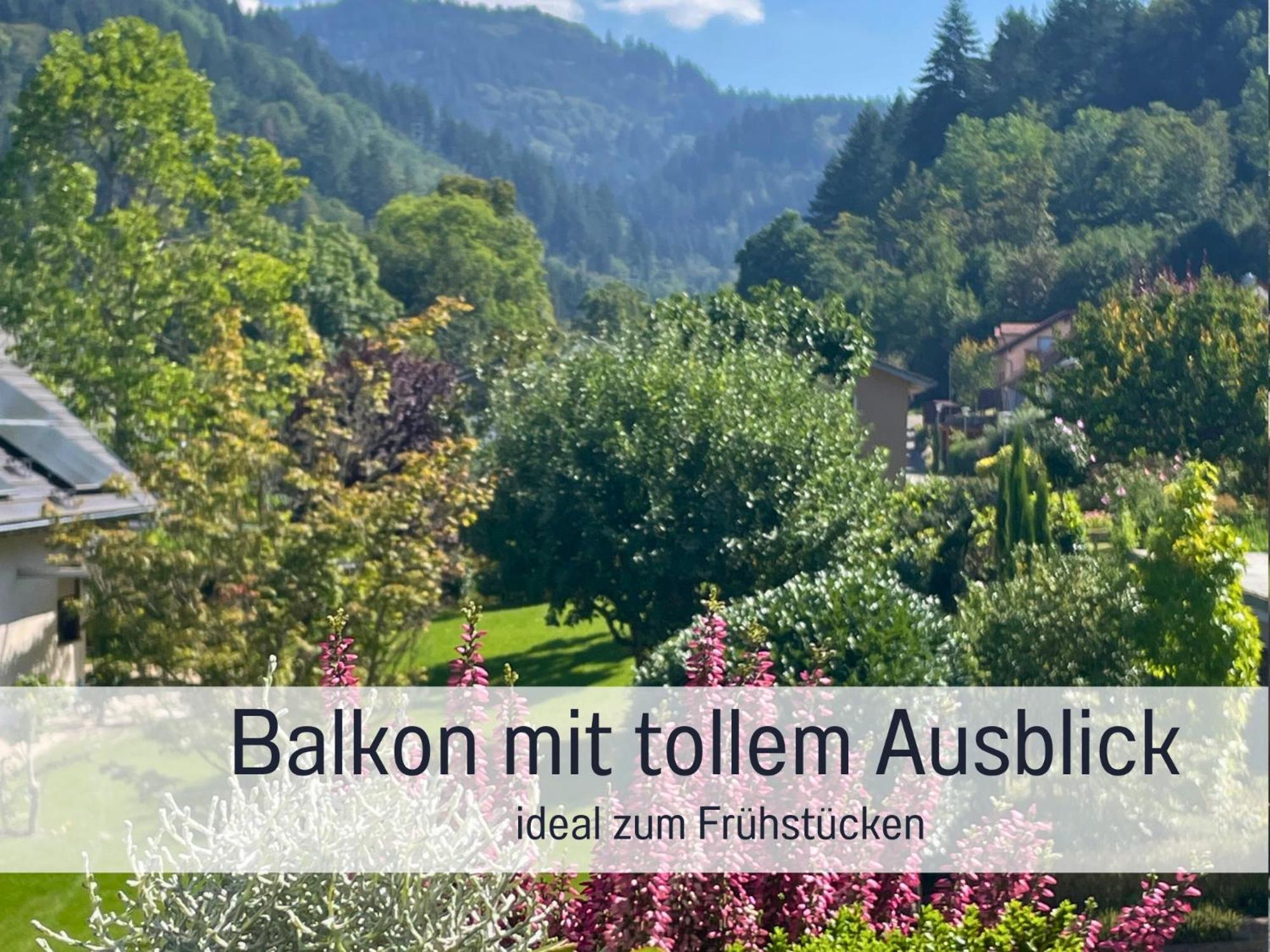 Ferienwohnungen Auszeit Langmatt Sulzburg Luaran gambar